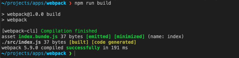 npm build webpack project